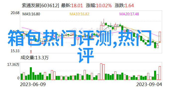 香奈儿包包CFmini黑色荔枝牛皮A69900在上海价格是