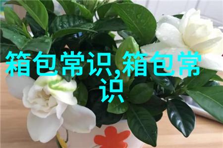 一条红黑的格子短裙该配什么鞋子啊可以配帆布鞋吗