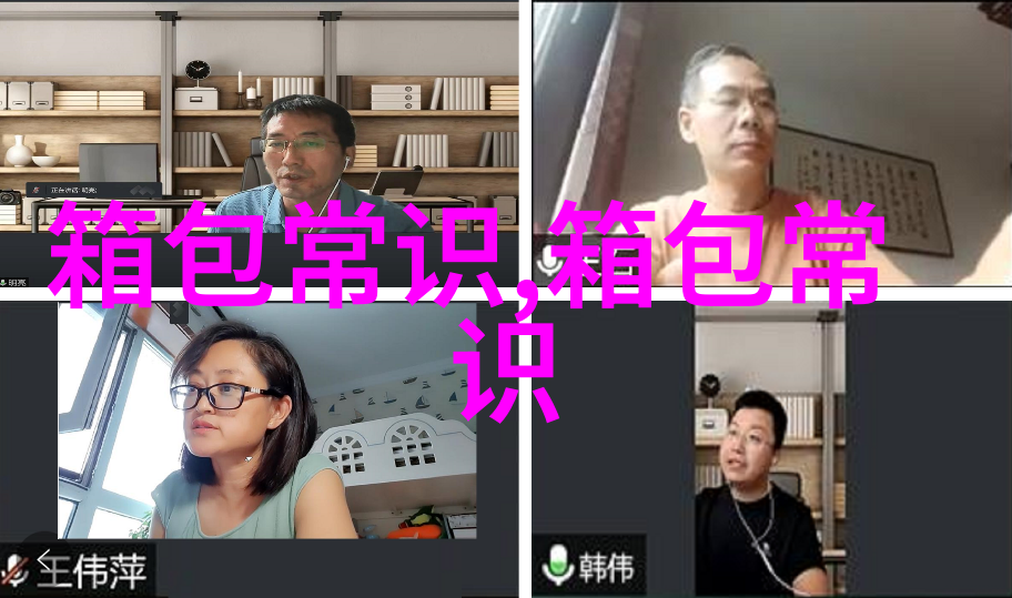 独特风格与优雅气质的完美结合银丝女包全面解析